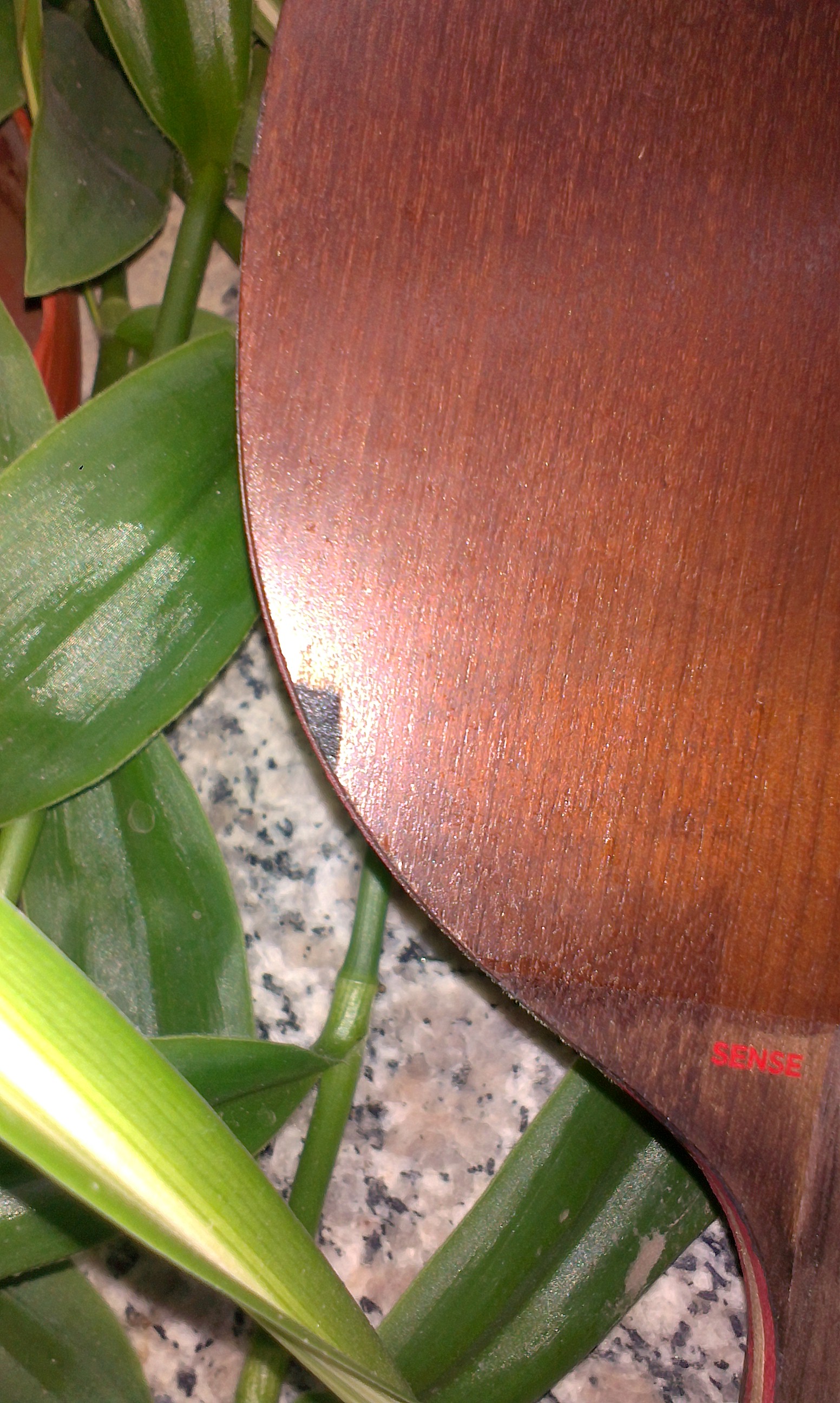 ��С��ŷ����sense7.6����350���ʡ���95�׽��������߽����̰桪��215���ʡ�����ӭ���530���ʣ���