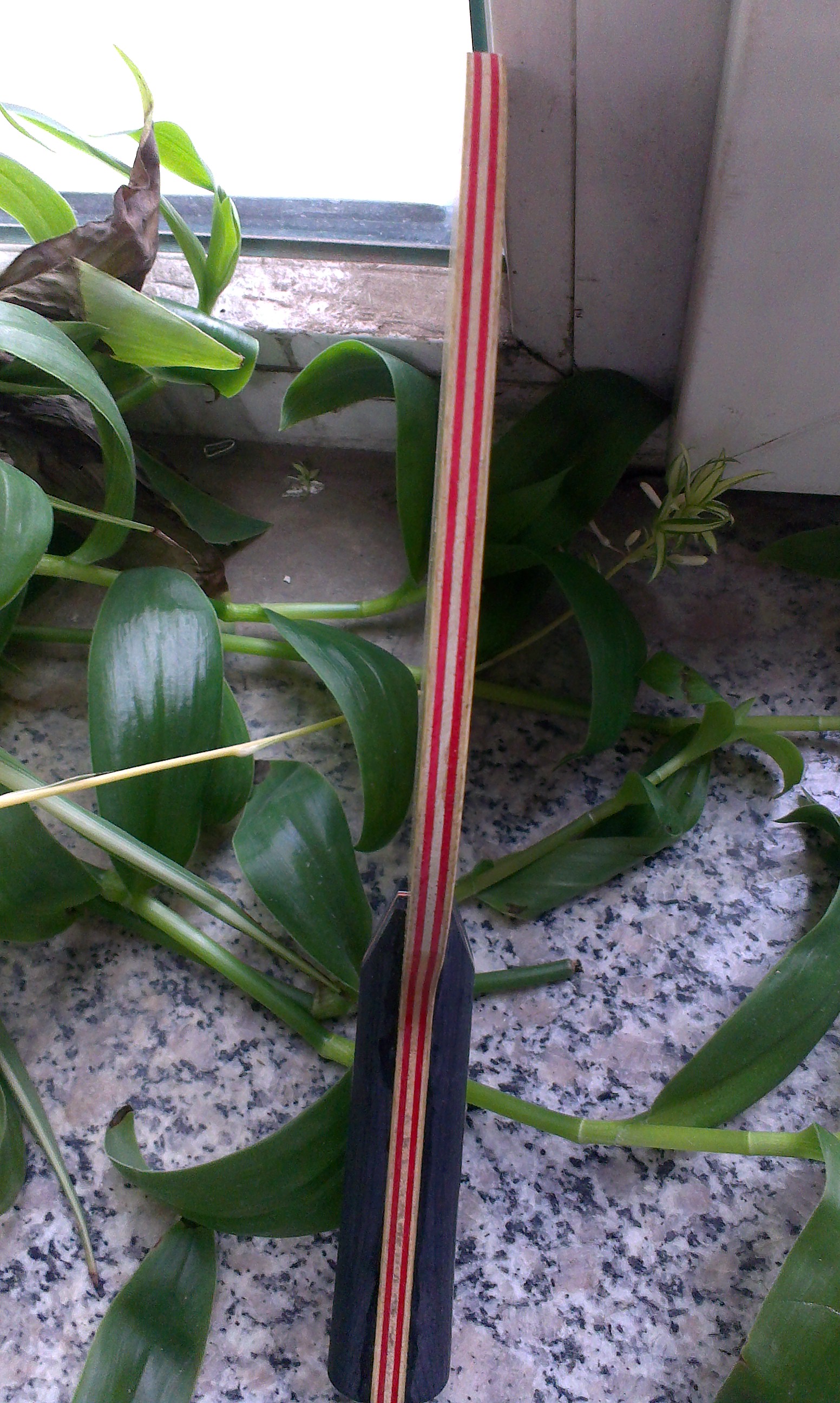 ��С��ŷ����sense7.6����350���ʡ���95�׽��������߽����̰桪��215���ʡ�����ӭ���530���ʣ���