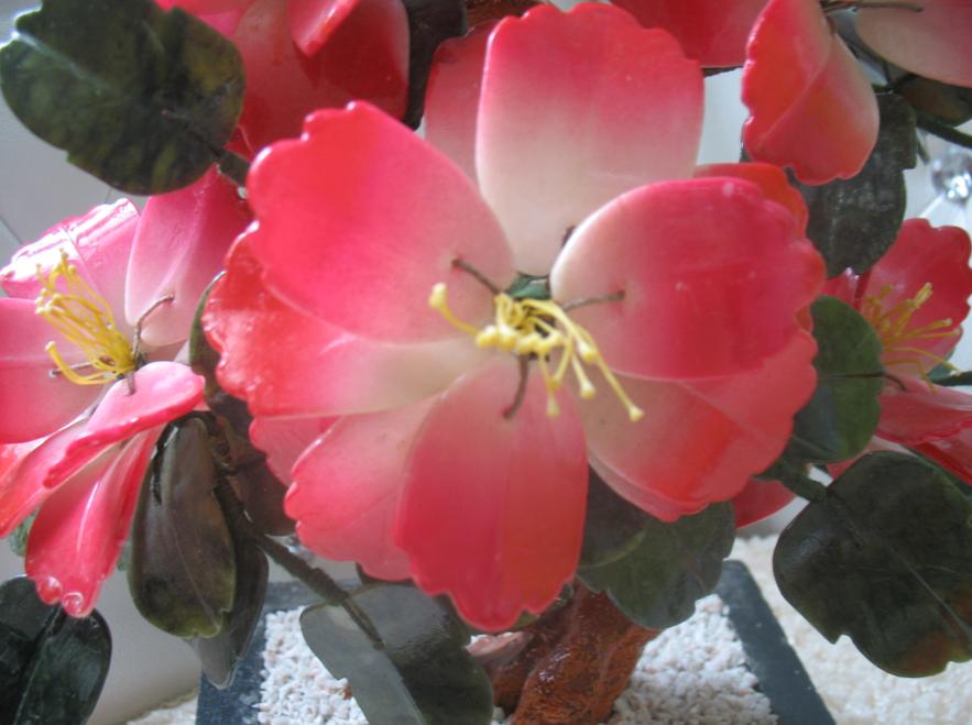 �ø�����Ʒ  �ڼ�   ����������棡~��