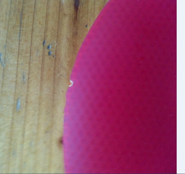 ����ɫ�������쭺ͺ�ɫ����JO