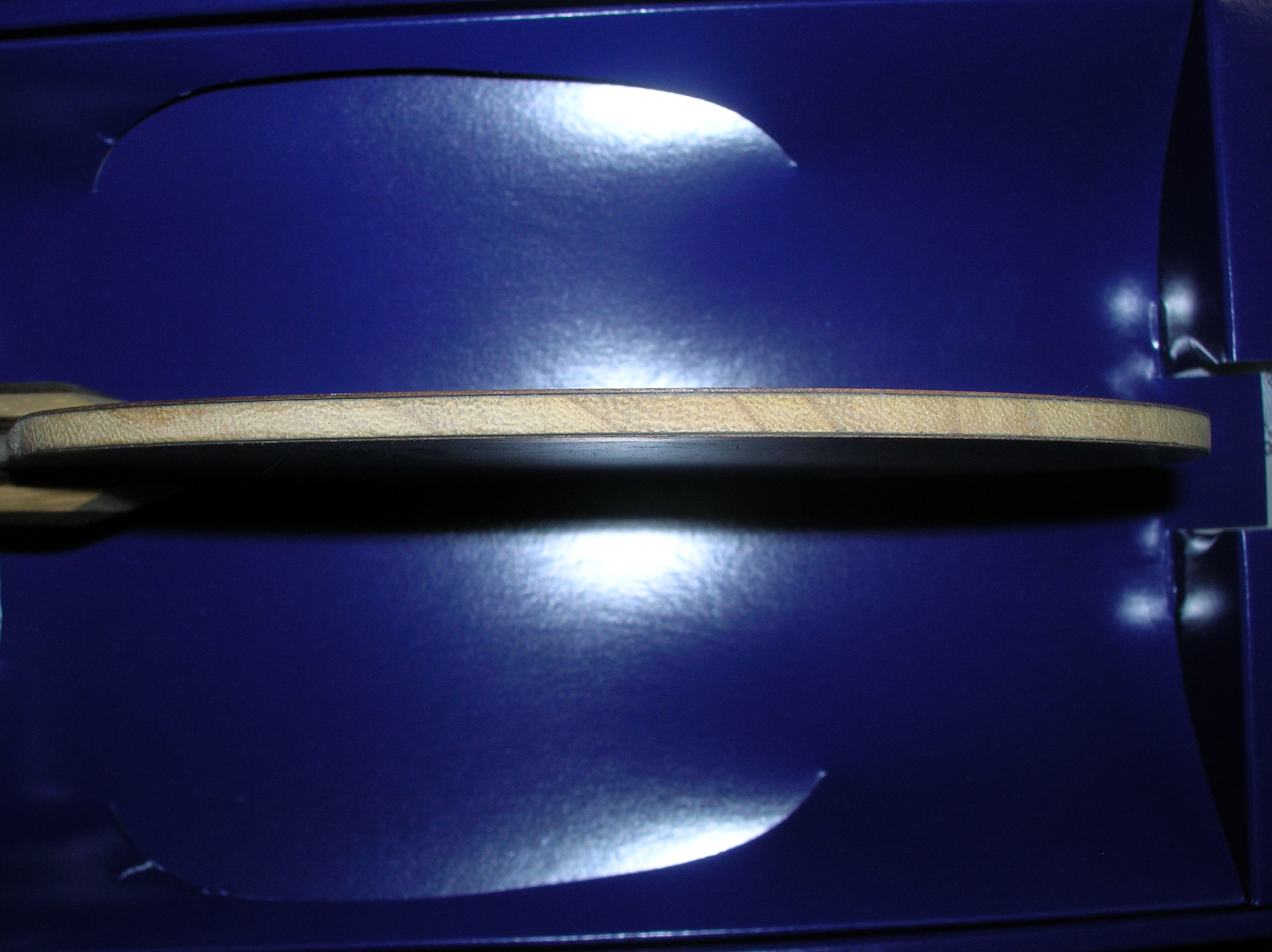 Nittaku Rutis  ST   81��