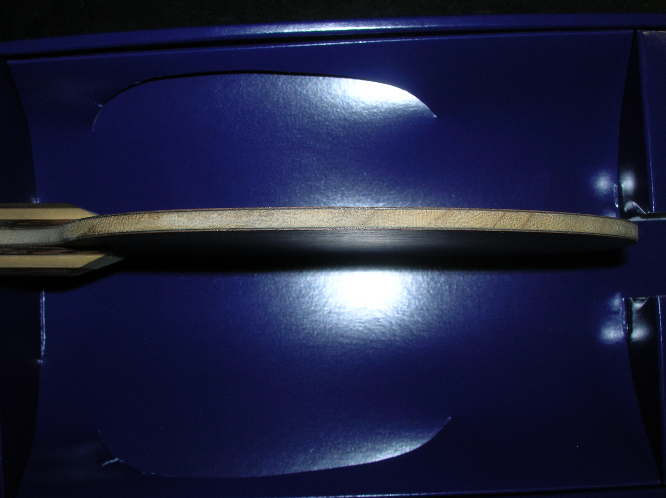 Nittaku Rutis  ST   81��