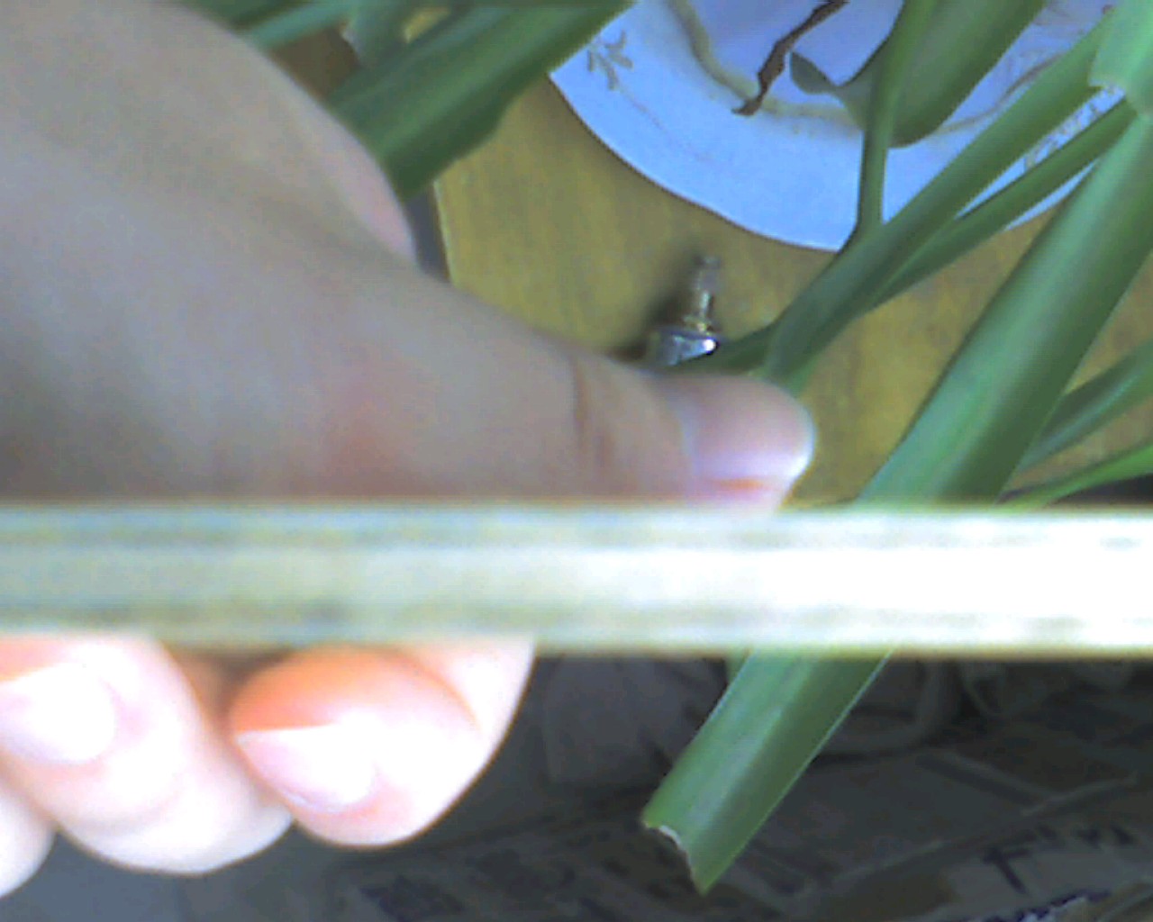 ��Ѫ �� ���� ���� ������ά ZLC ������Ȧ �������� �����ָ� ���޿���