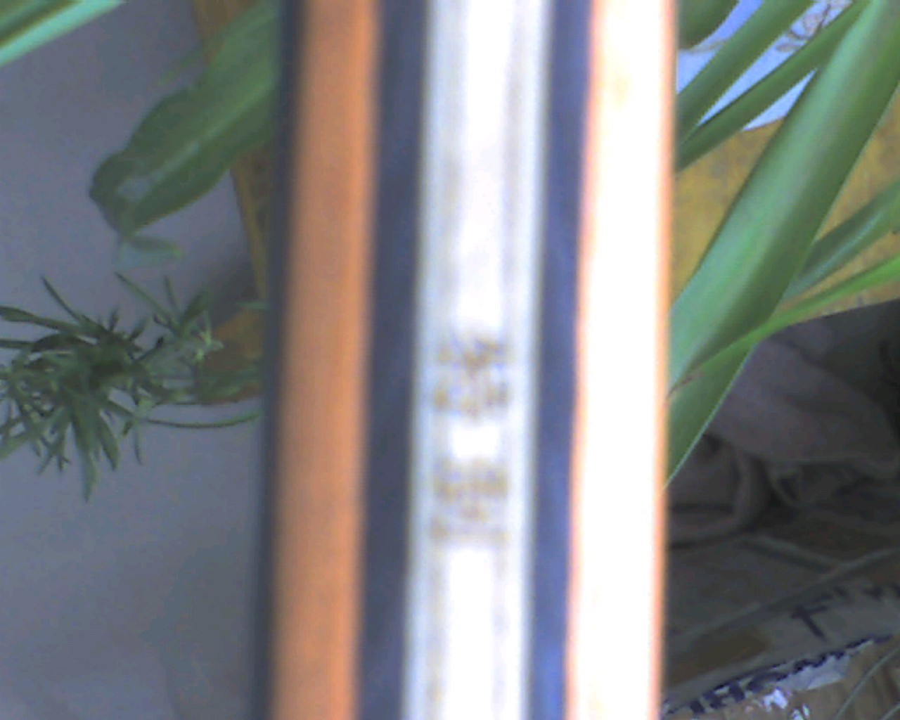 ��Ѫ �� ���� ���� ������ά ZLC ������Ȧ �������� �����ָ� ���޿���