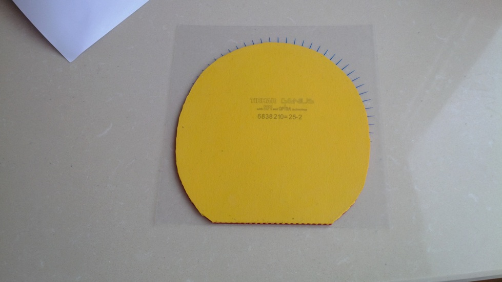 CR,CR��ͦ��TIBHAR GENIUS��ų�