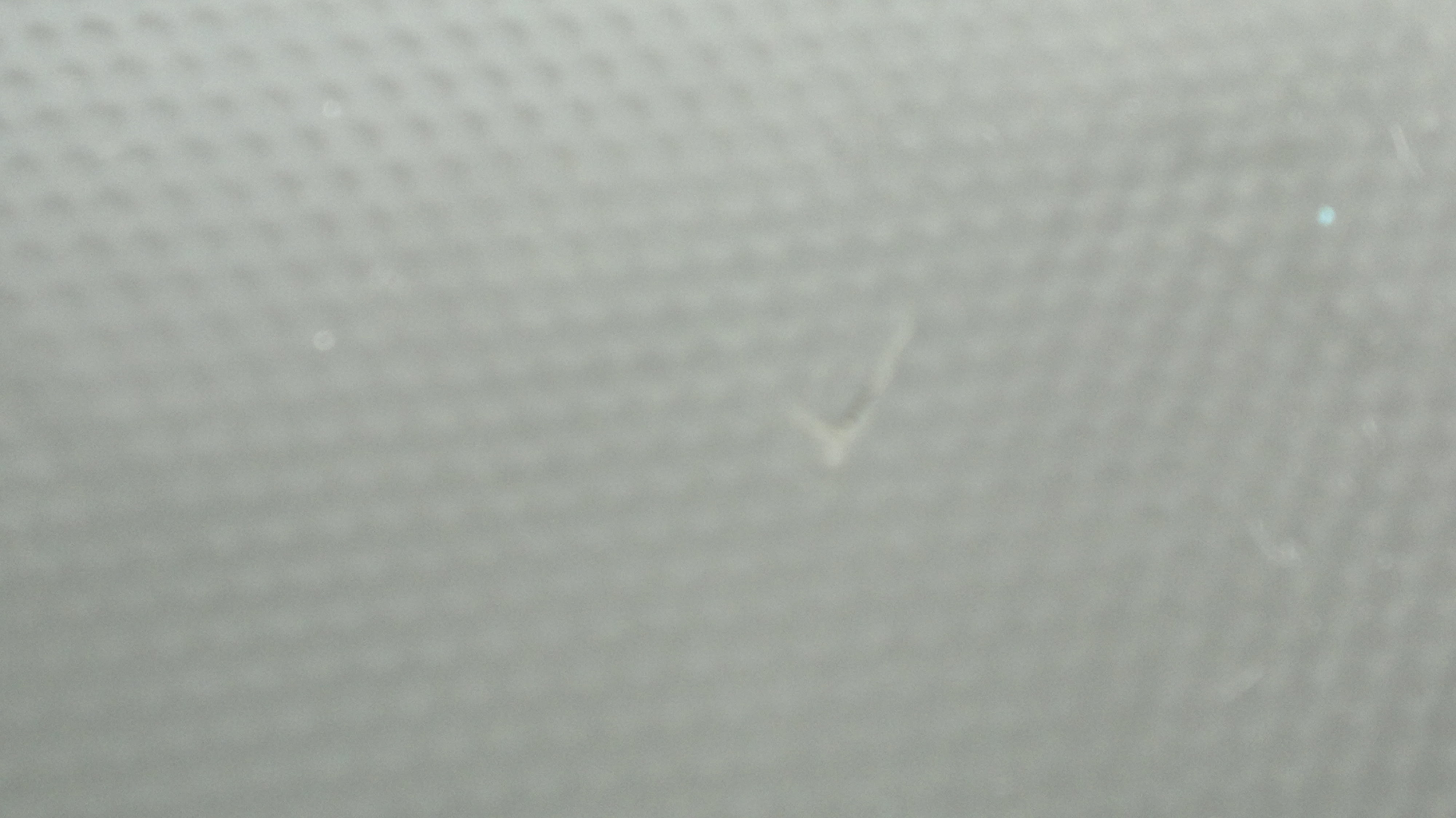 �� �� �� �� �� Ʒ ��  �� �� ɫ �� �� ��  ��