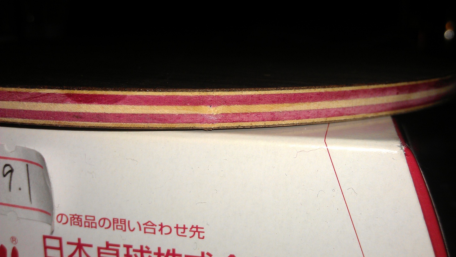 лڲ𣡣