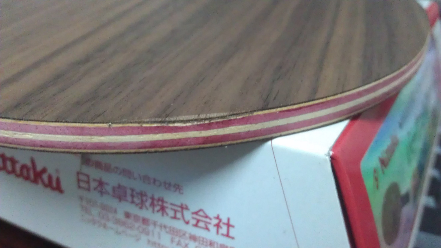 лڲ𣡣