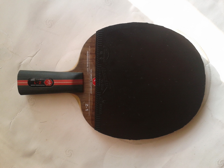 729z1ֱ�Ĵ�����