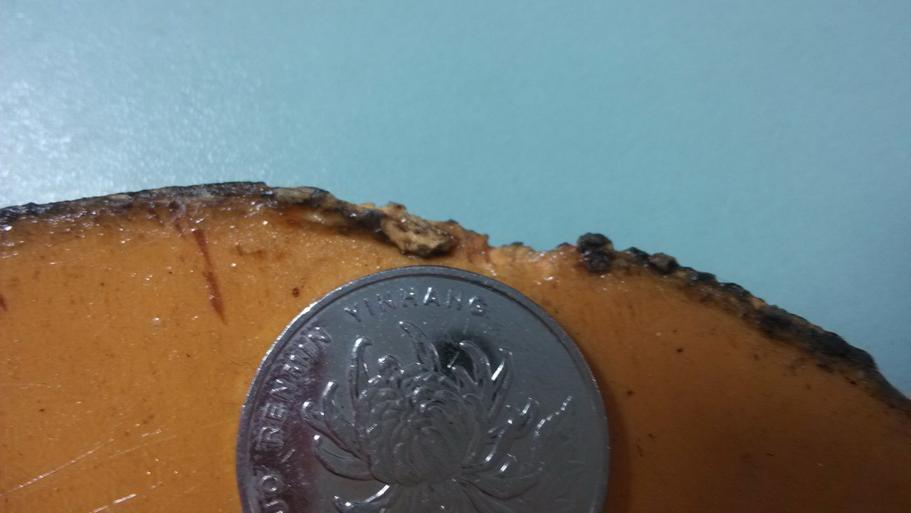 @@@@@��t25fx  110����   05fx   90����   g2fx  80����   ��ɷ  70����  nittaku ���  50����@@@@@@