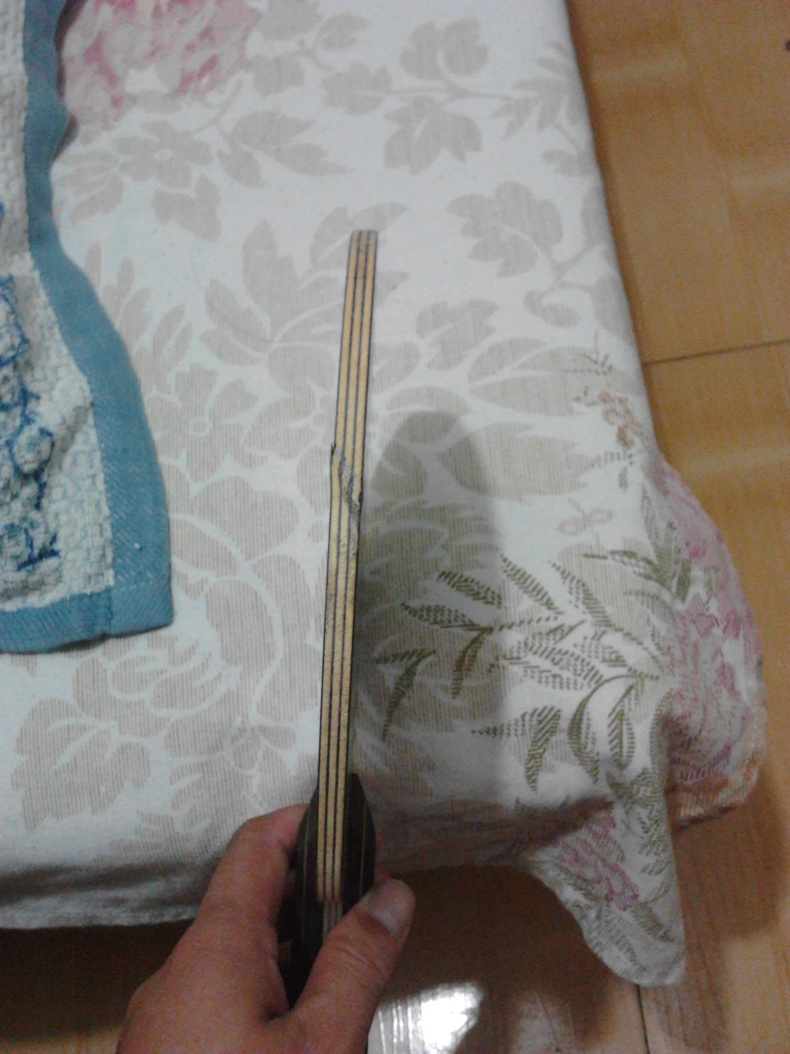 ��̴��һ��С�� ֧��������  595Ԫ