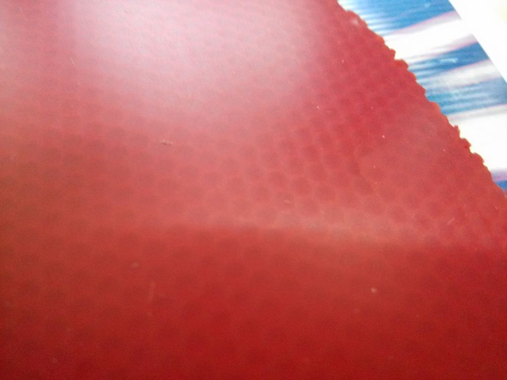 �����ڣ�NEOʡ��+���죩���� �ײ˼� CL����