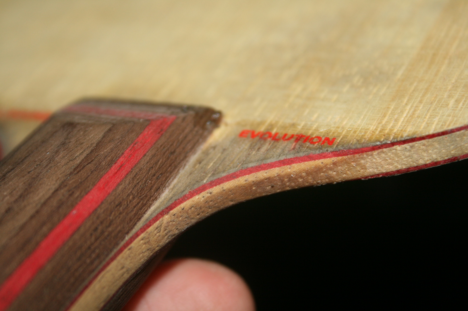 ���¿�����˹�ٿ�AE������