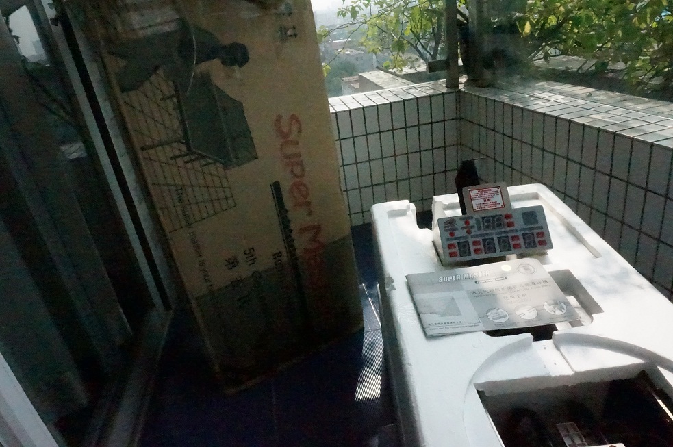 [ԭ��]�����һֻ���Ĵεĵ����������������˶���