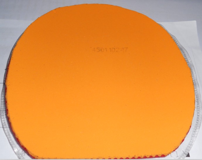 ������� 41��ʡ�� �ȵȳ���