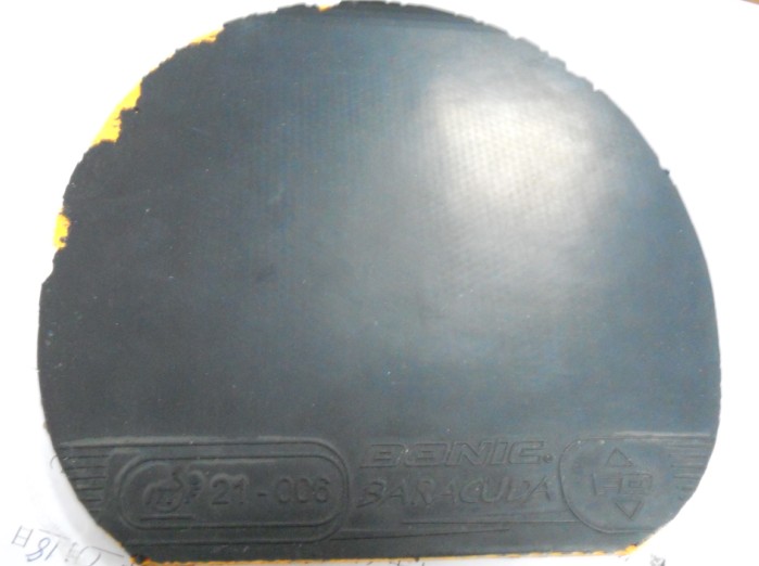 ������� 41��ʡ�� �ȵȳ���