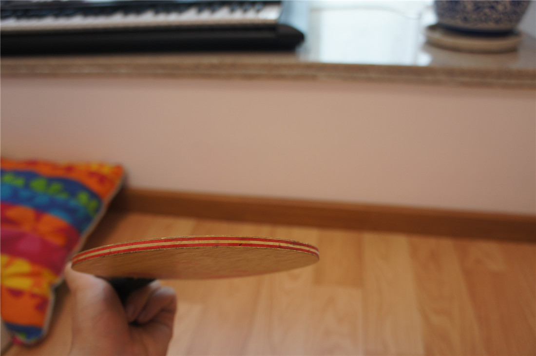 ��nocolor200��ֹ�ճ��壬������5�飬viva�����ST��CL-CR-WRB���֡�����C��donic PPP��vis