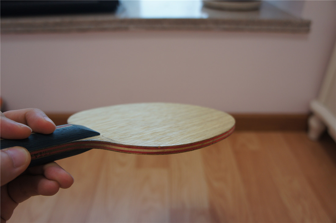 ��nocolor200��ֹ�ճ��壬������5�飬viva�����ST��CL-CR-WRB���֡�����C��donic PPP��vis