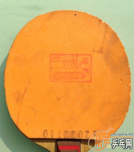 ֧�������ǳ����㣬ST��CLCC�ͻ��Ϻ��̼������Ʒ������켫����ʡ�����������ף��ͺ����޻���ˮ���ͷ�����Ƥ