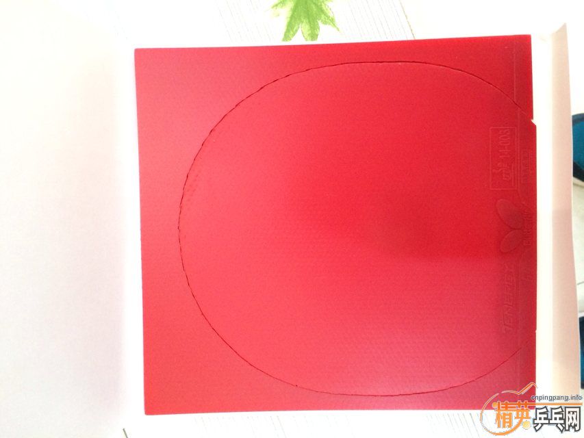 ��ɫT64��֧�������ף������