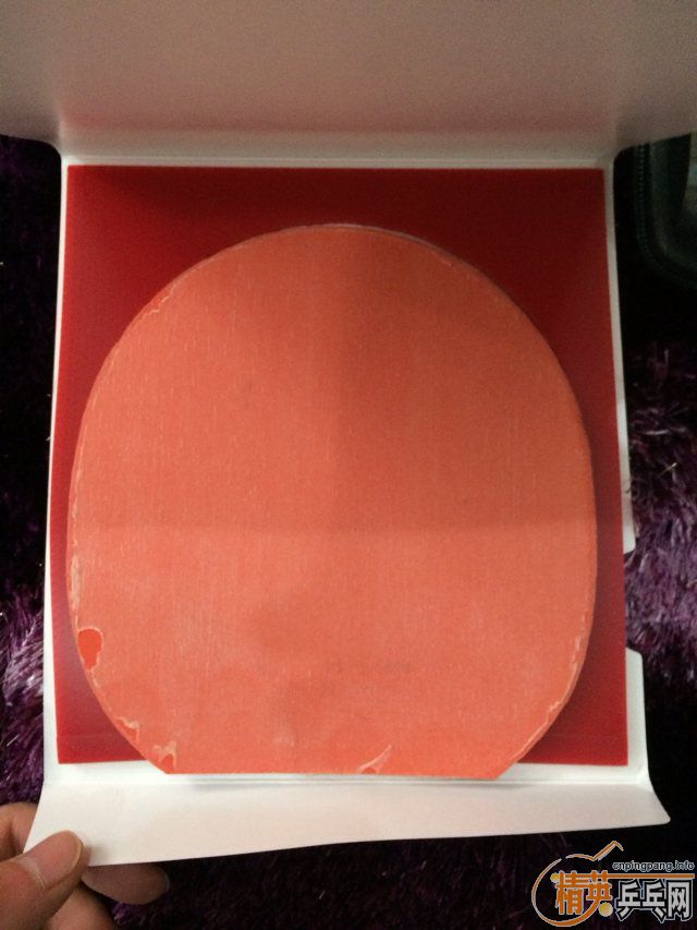 ��ɫT64��֧�������ף������