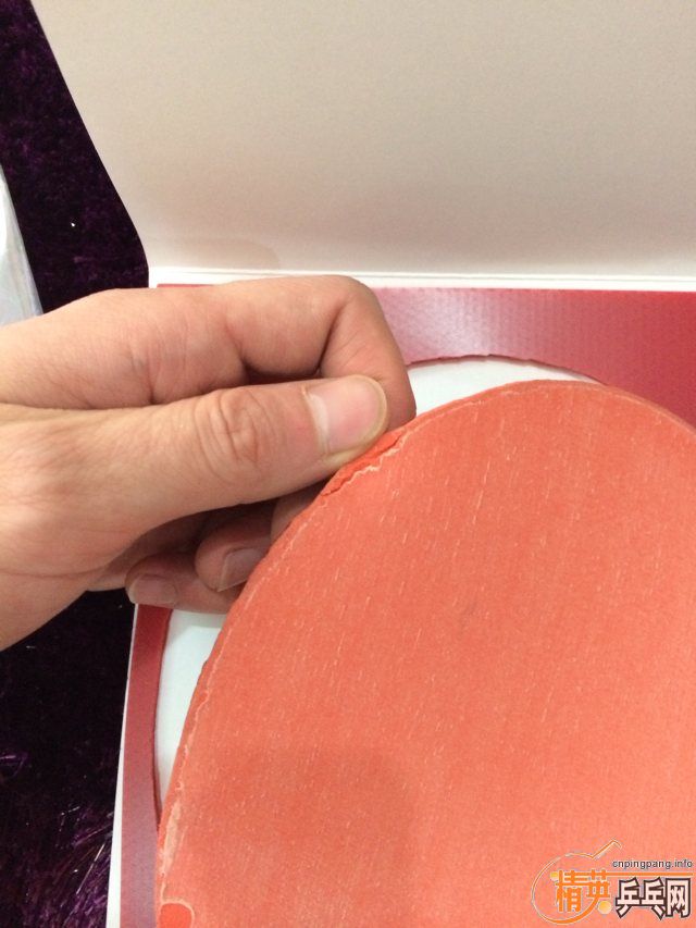 ��ɫT64��֧�������ף������