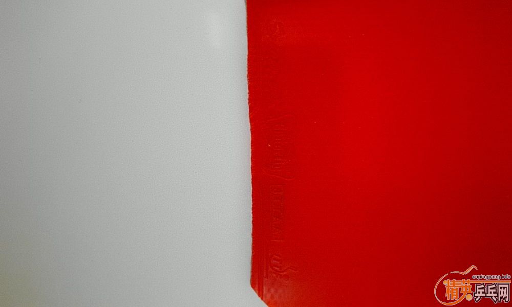 ��Donic ����M1������srivre FX,Joola green power