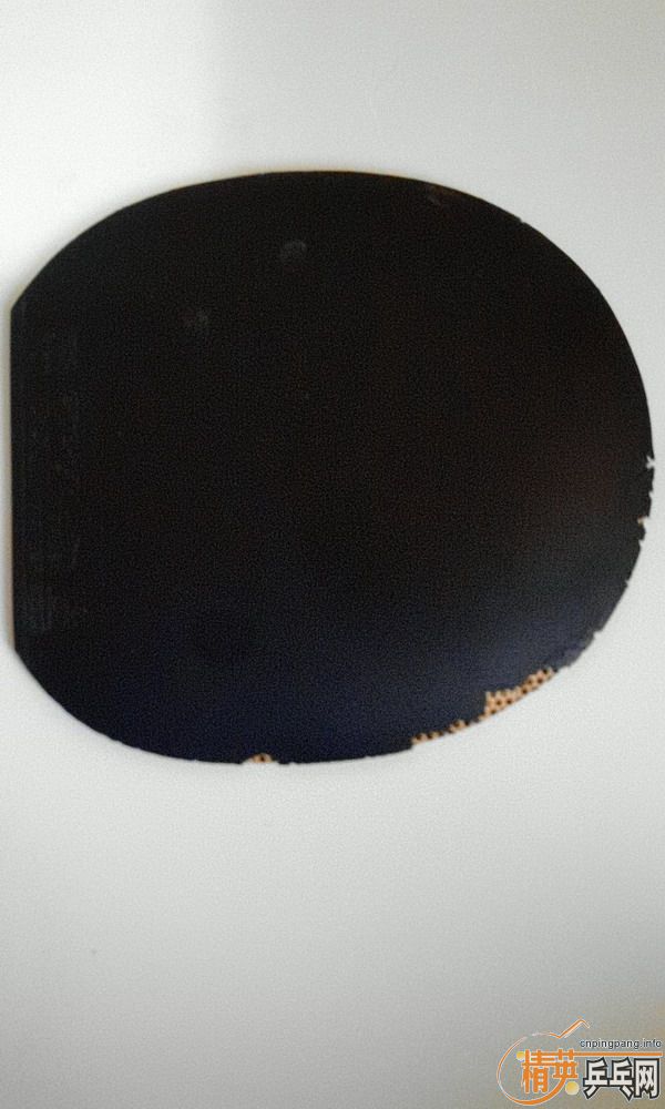 ��Donic ����M1������srivre FX,Joola green power