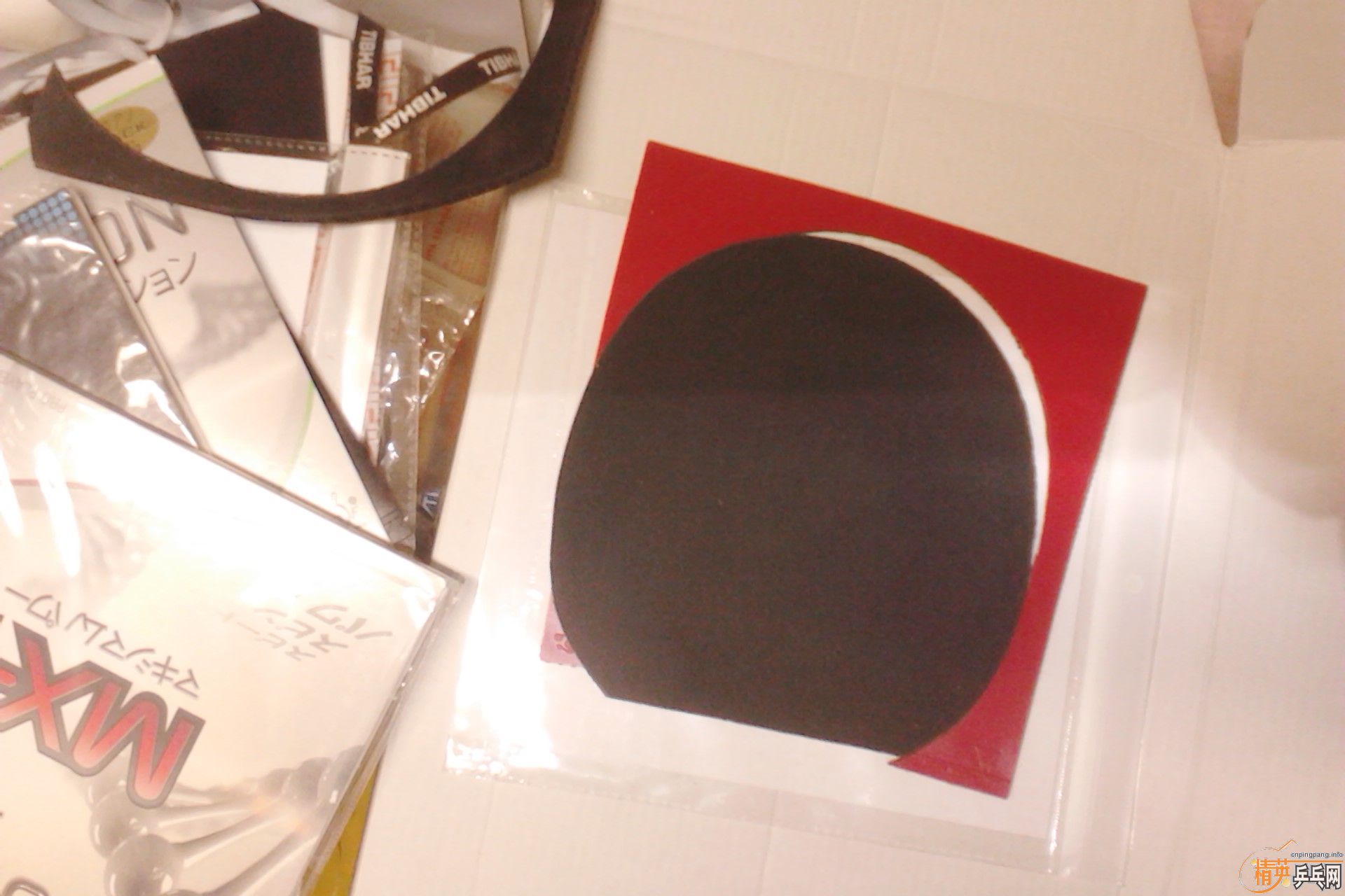 ����ɫ�Ƚ��µ��׽�