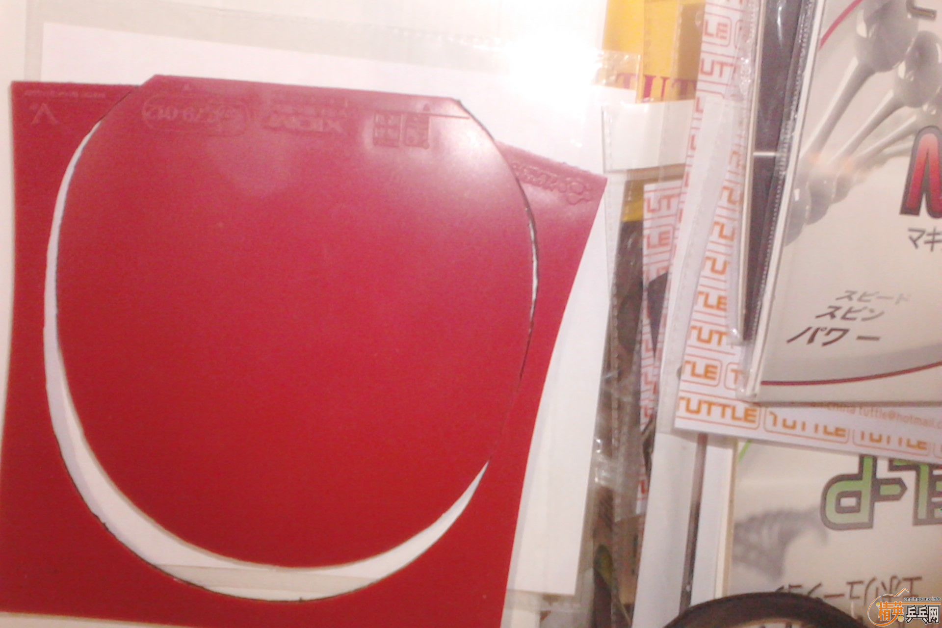 ����ɫ�Ƚ��µ��׽�