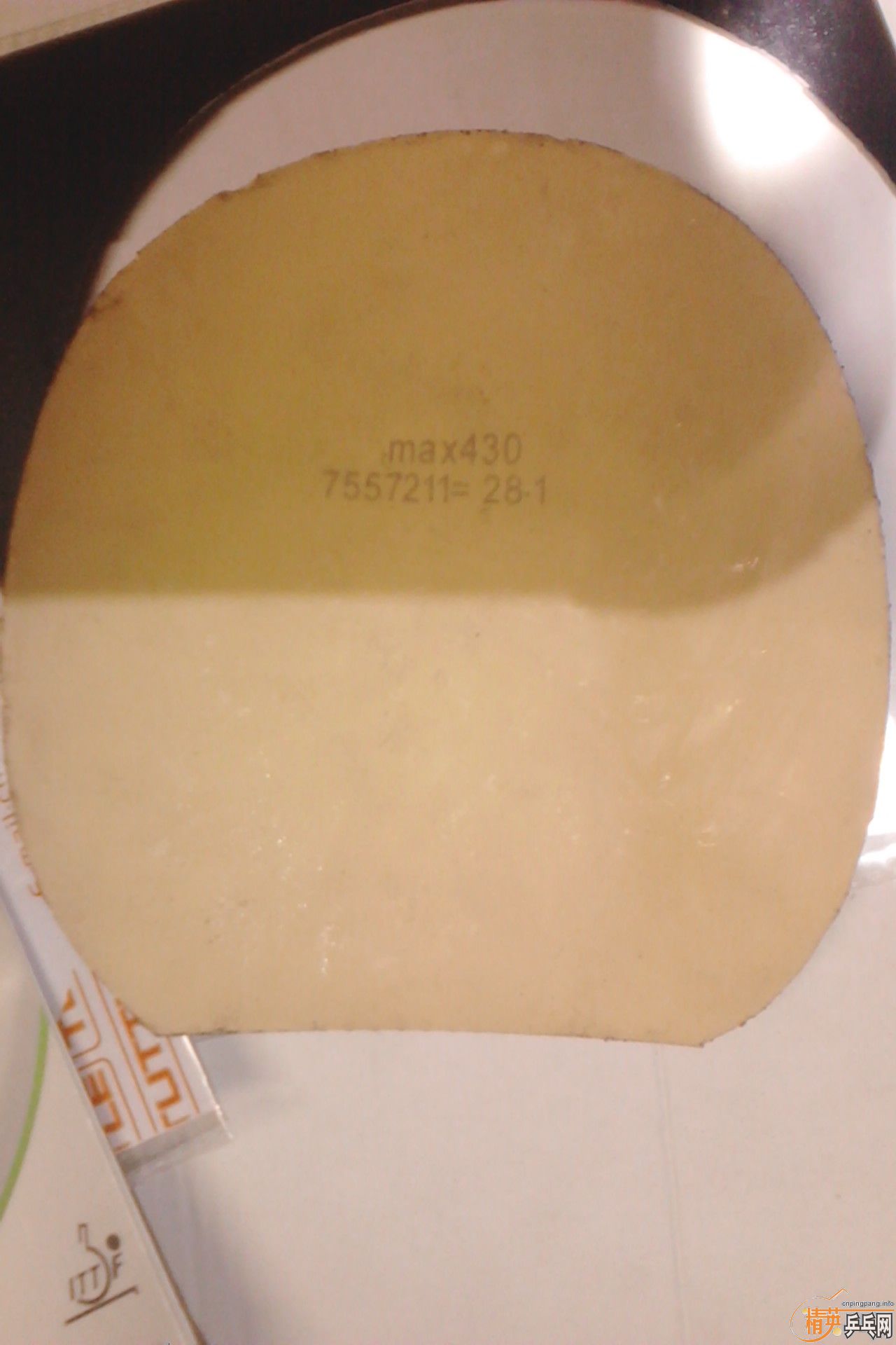 ����ɫ�Ƚ��µ��׽�