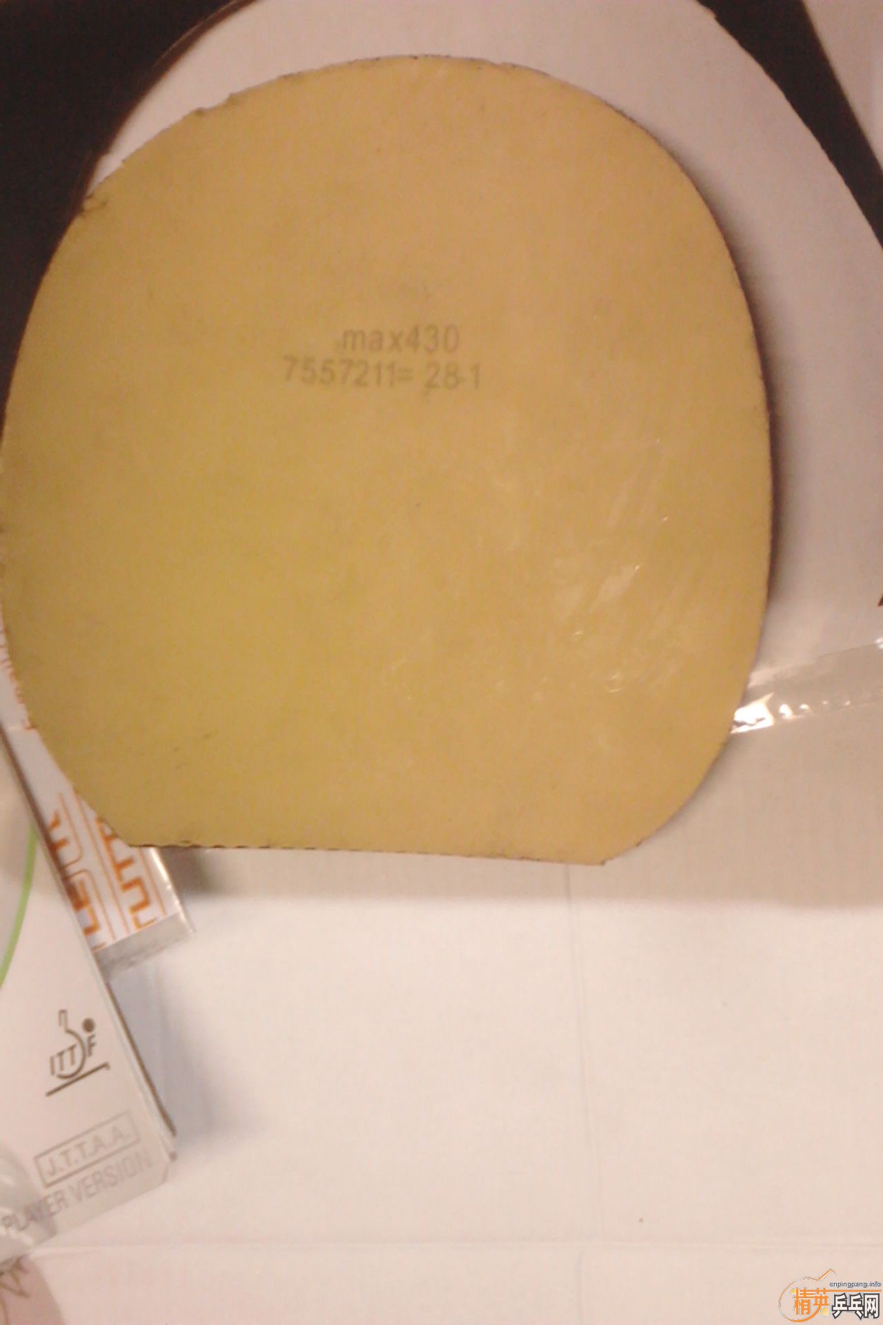 ����ɫ�Ƚ��µ��׽�