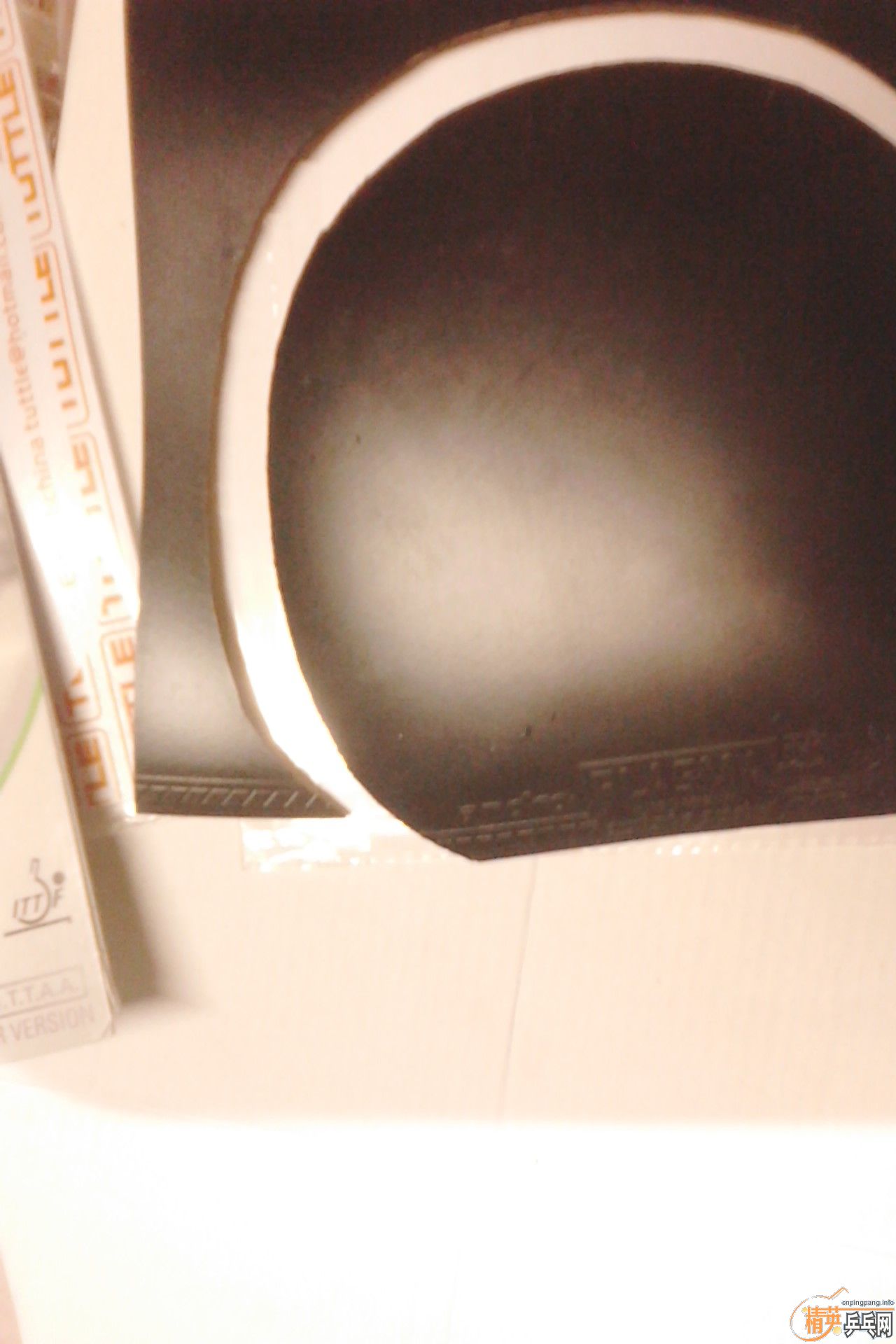 ����ɫ�Ƚ��µ��׽�