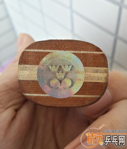 ¥��ŭ�ˣ�9�����л�õ��7��¥��˦����