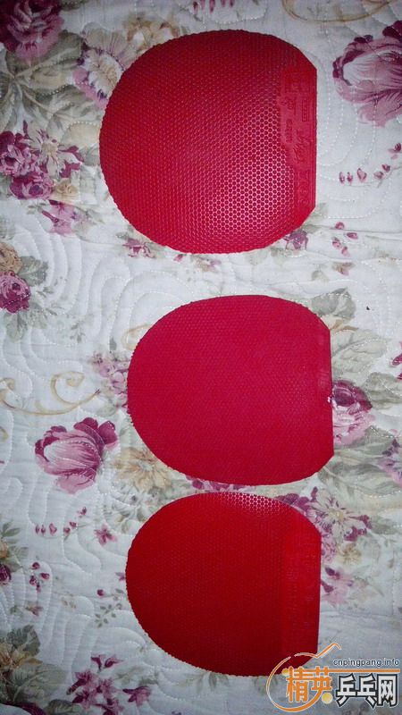 ��JOOLA���ٿ쳵�����׽���ɫ,JOOLA����̽��������ɫ,TSP �����׽���ɫ,�����һ��TSP�����׽���ɫ.