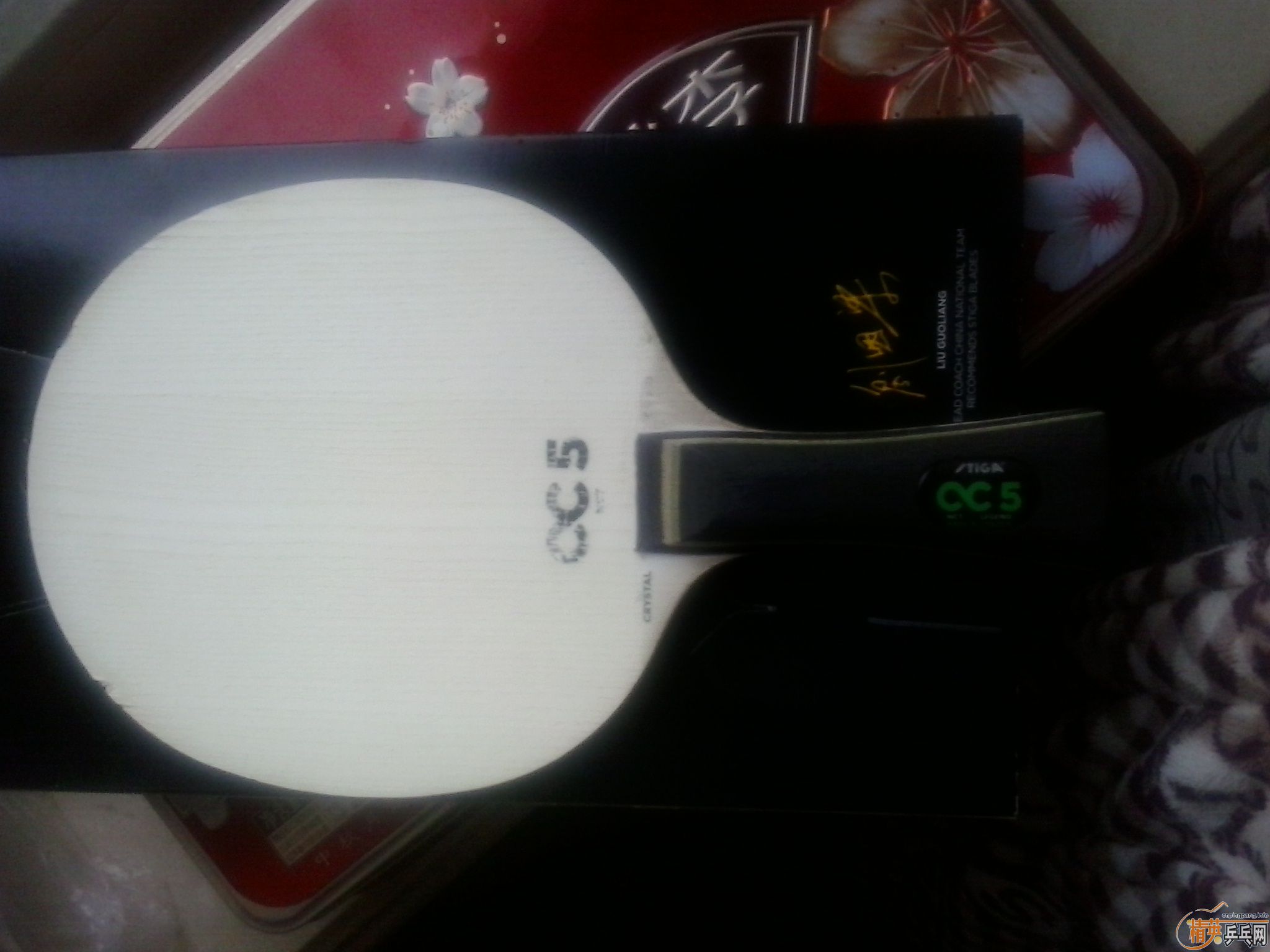 ��cc5ŷ�� 520�磬��ͼƬ��qq546462454  TE15142239612