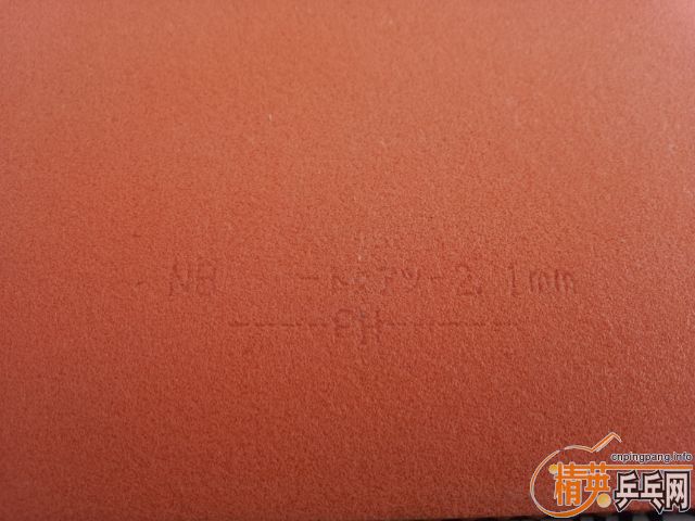 ��ֱ�� ���� T05 ��ɫ 200���� ֧����