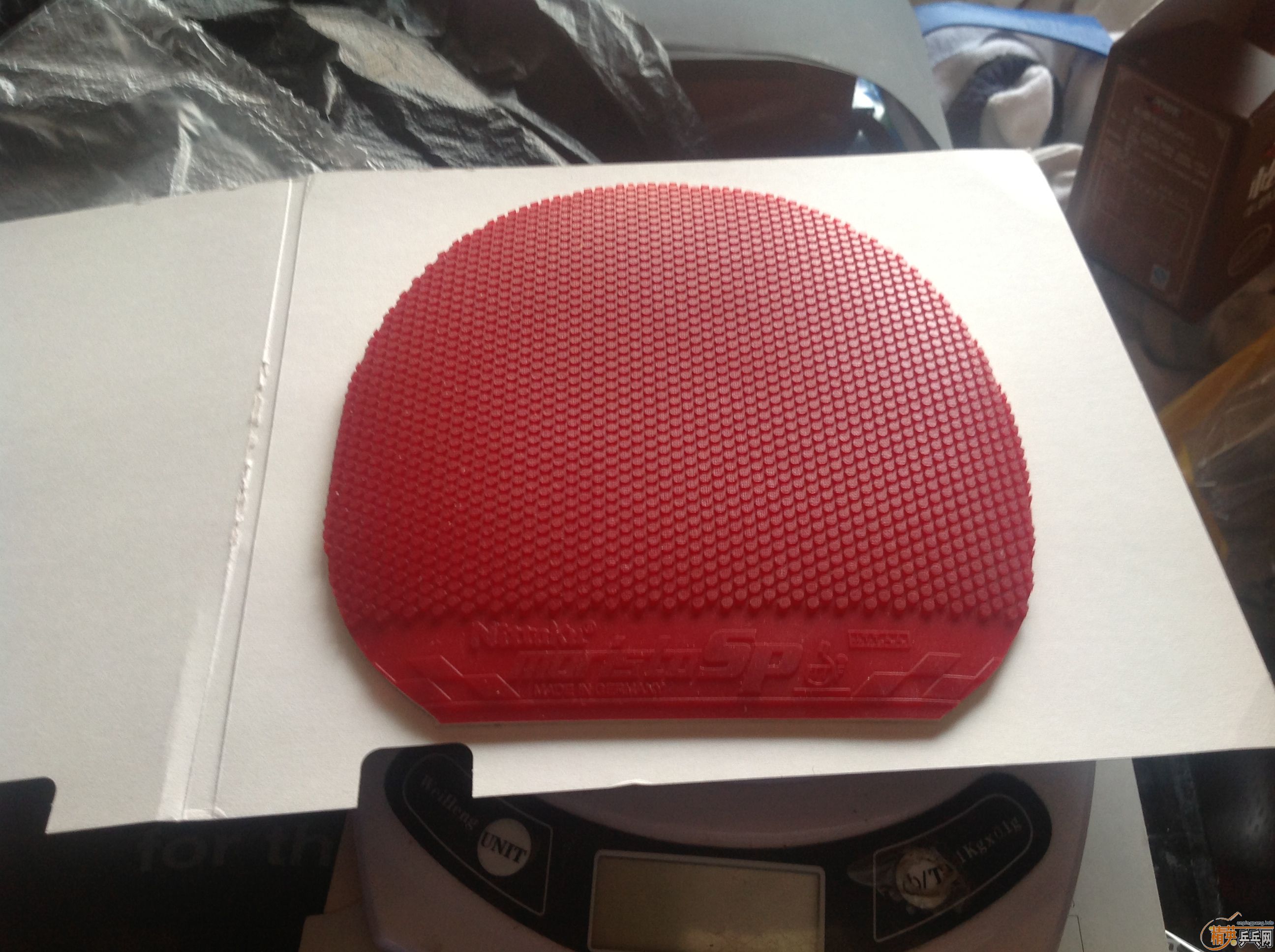 ������ MORISITO SP  ���� ��ɫ �غ� ����