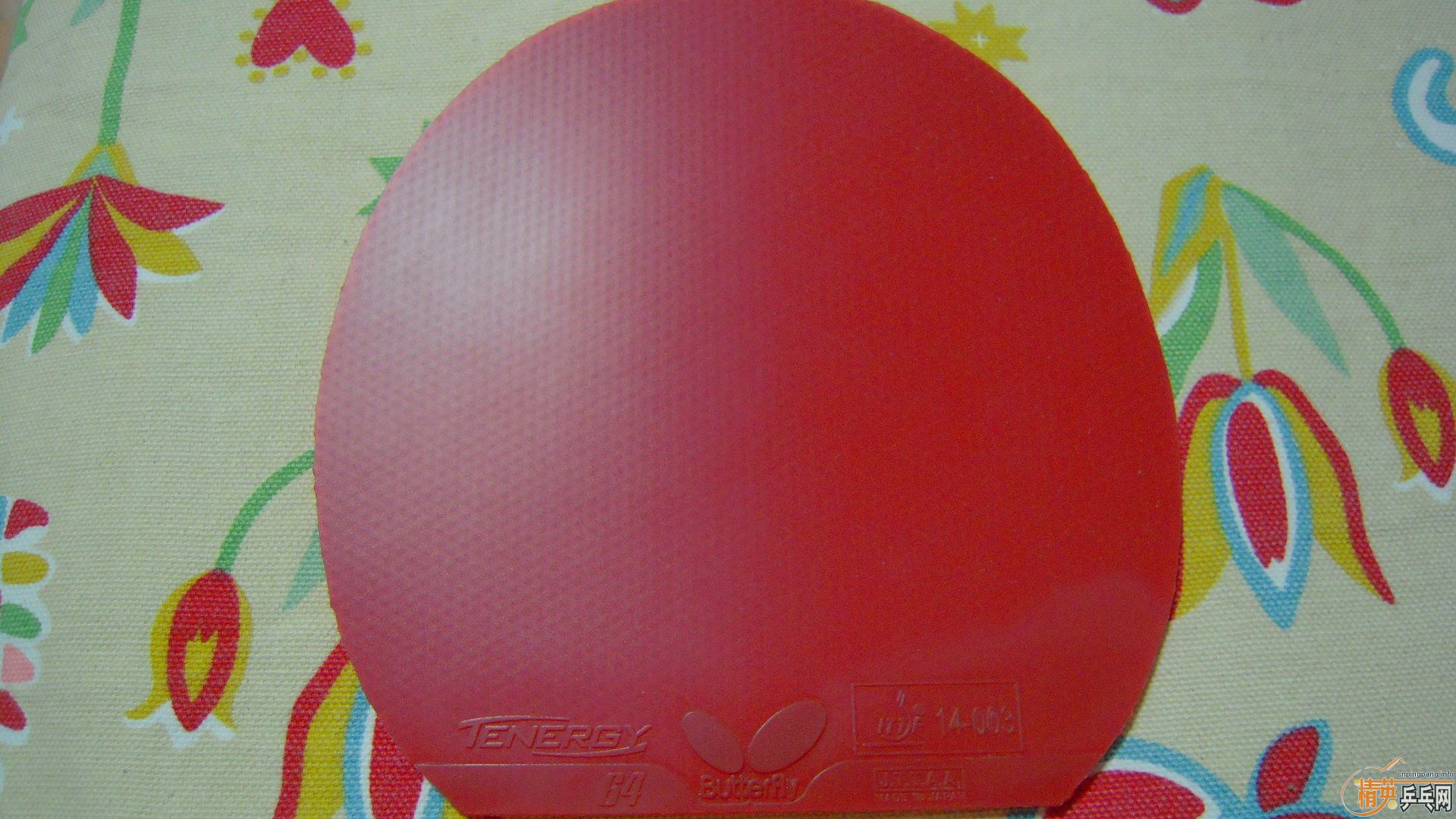  кT64ɫ2.1240ʣ飡