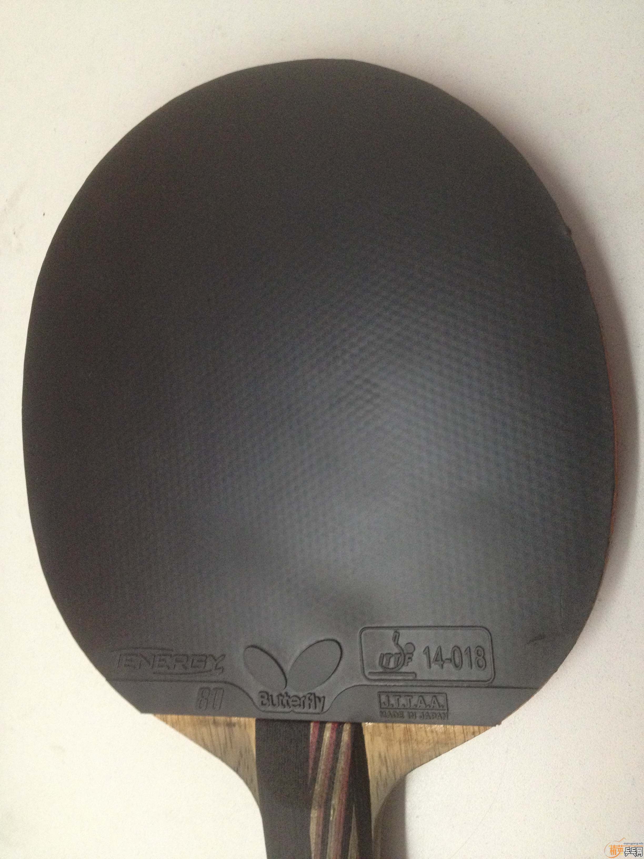 ������˹̼��+T05+T80������Ҫ����++++++++++��ȫ�װײ˼ۣ�