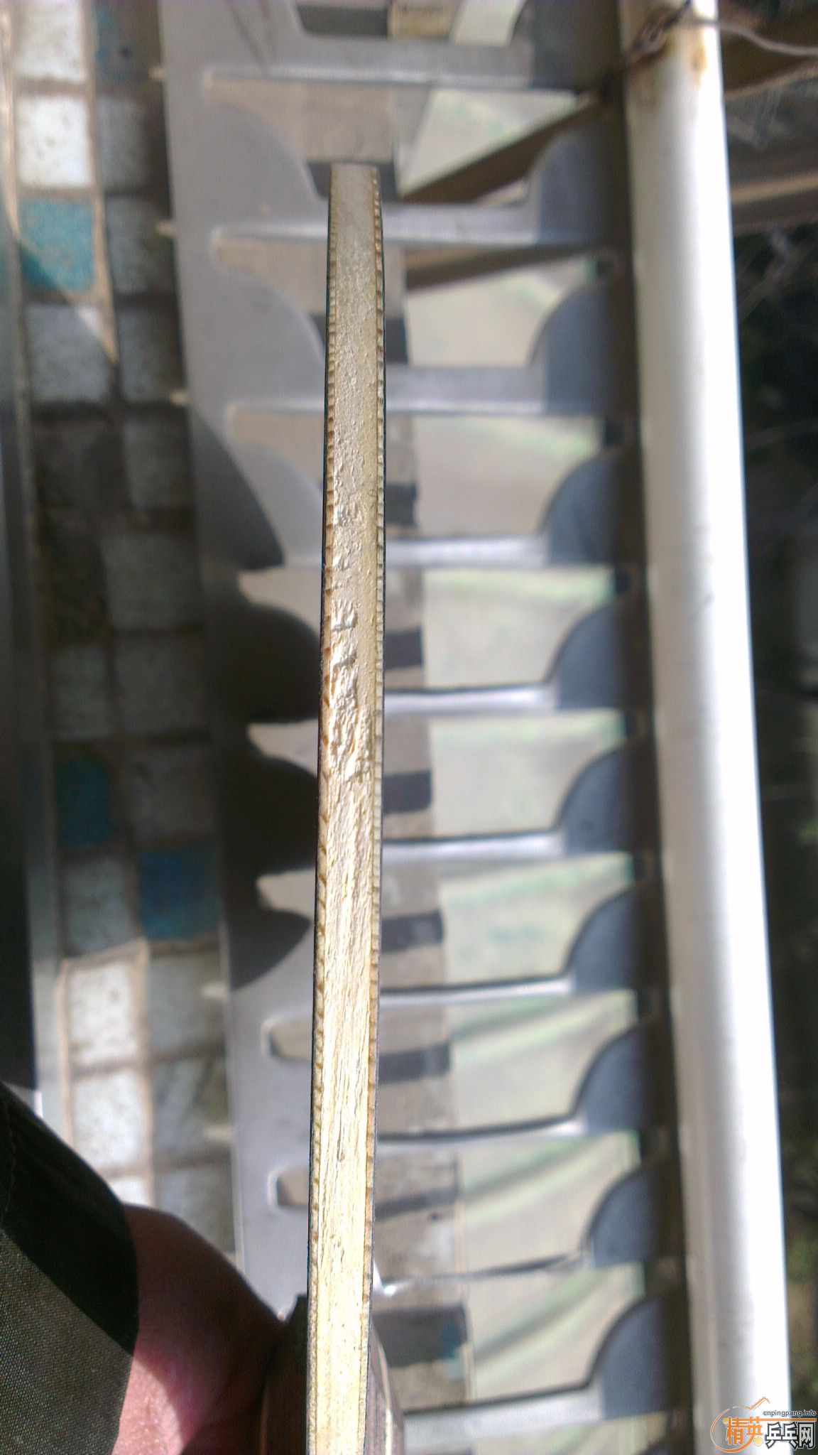 ���ó�ɫŷ��FL��̴5