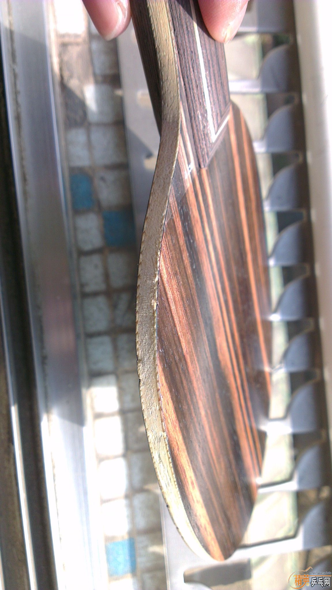 ���ó�ɫŷ��FL��̴5