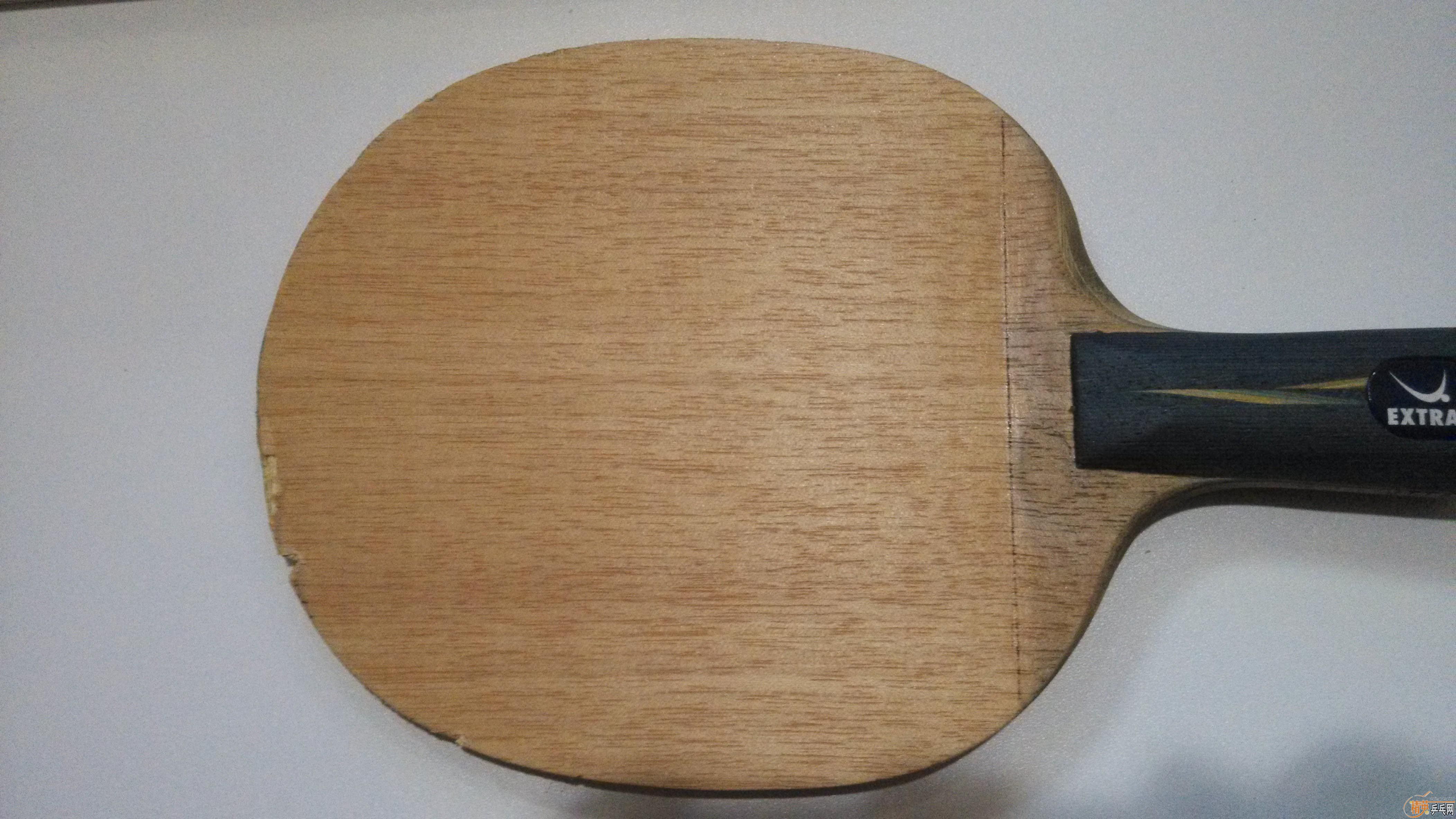 ת�������հ�YE