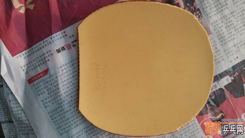 ���������ľ���׽�����ɫ��CL���棩+������