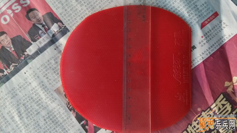 ���������ľ���׽�����ɫ��CL���棩+������