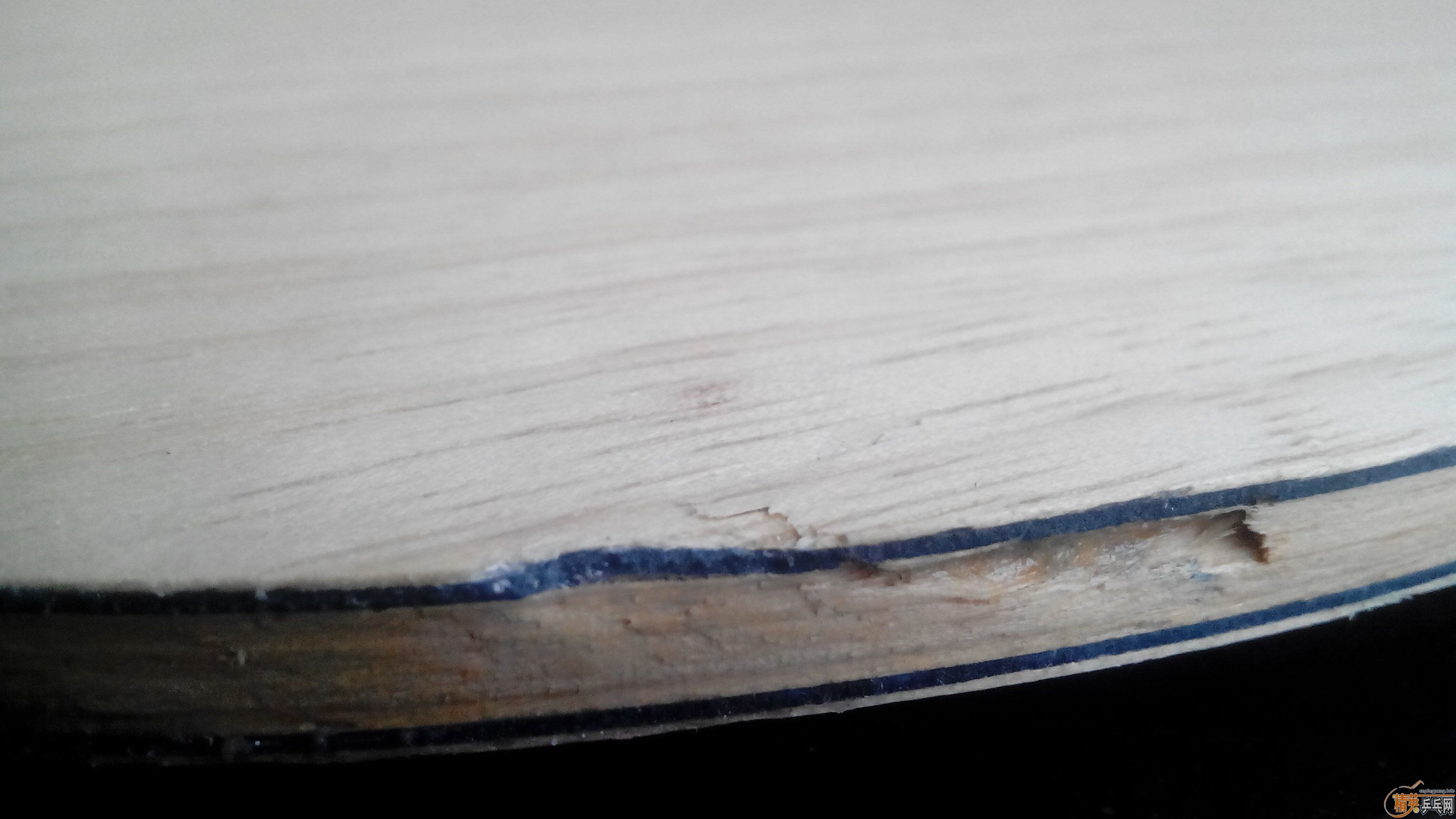 [����]˵˵��������׵��£���Ҹ�������զ�죿