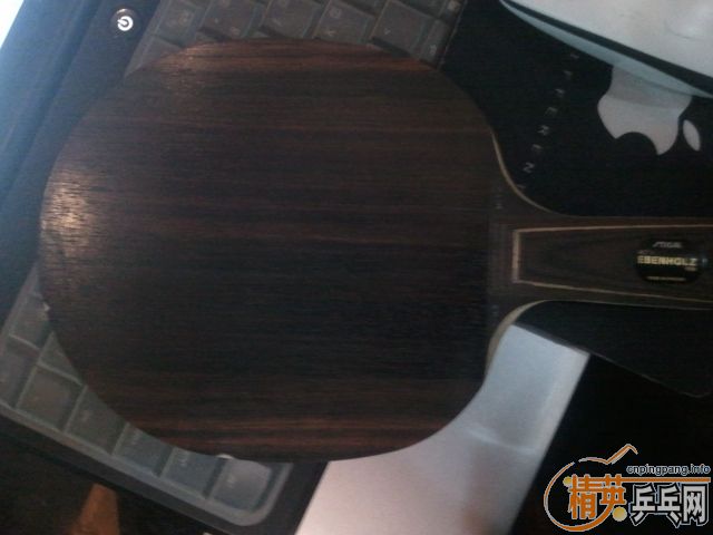 [����]��֤������ Tiger3738����õ��xo