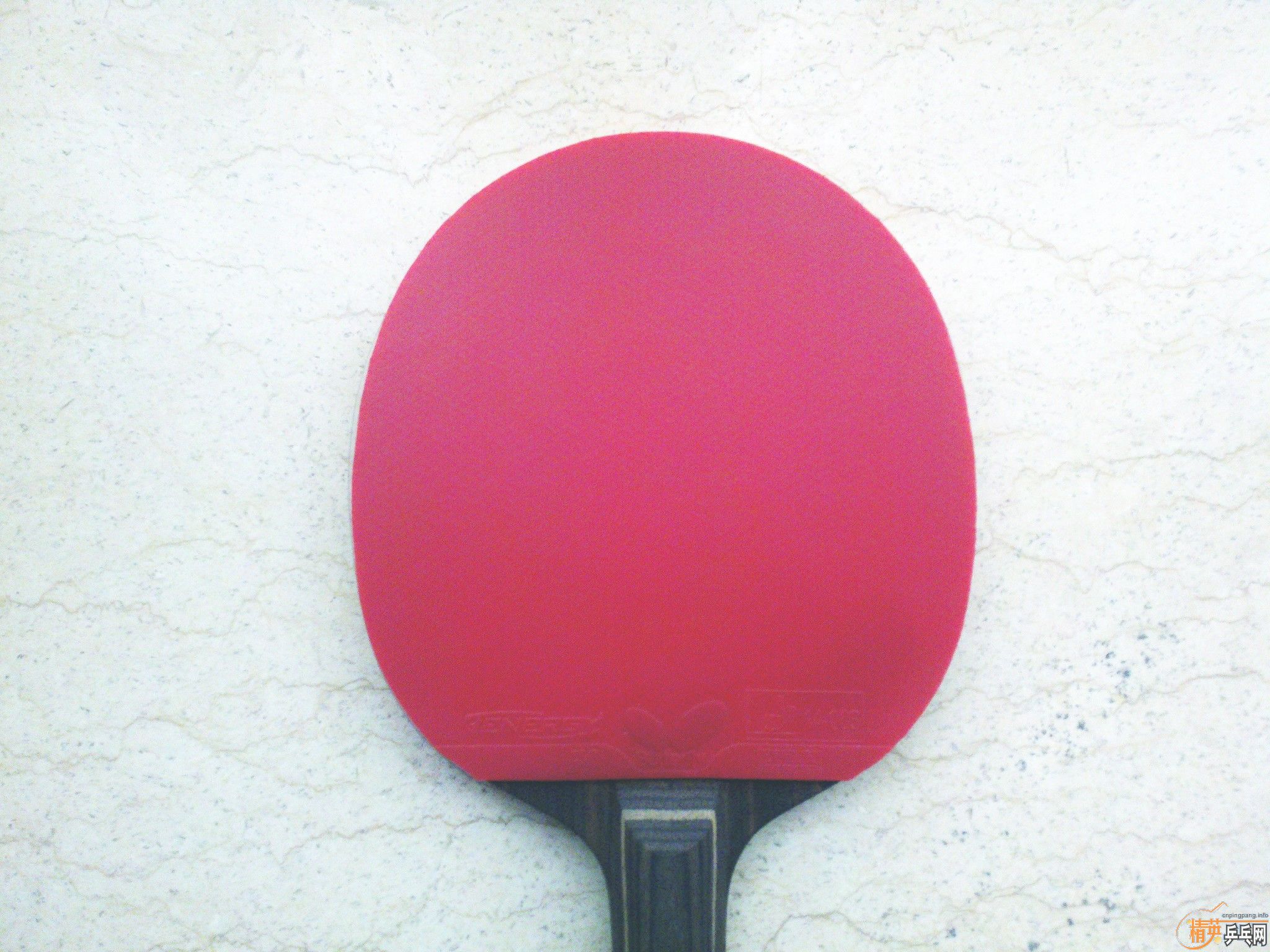 ZKX�س���Ʒ 64 X1 ȫ����ɫ �¸��ף�����������������������������������������������������