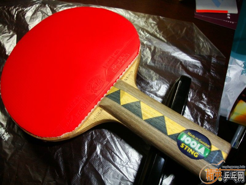 (�ѳ���(����ͷ�������̫����)���ղصĳ���-����ͣ���ϻ�JOOLA ROSSI FIRE(FL)