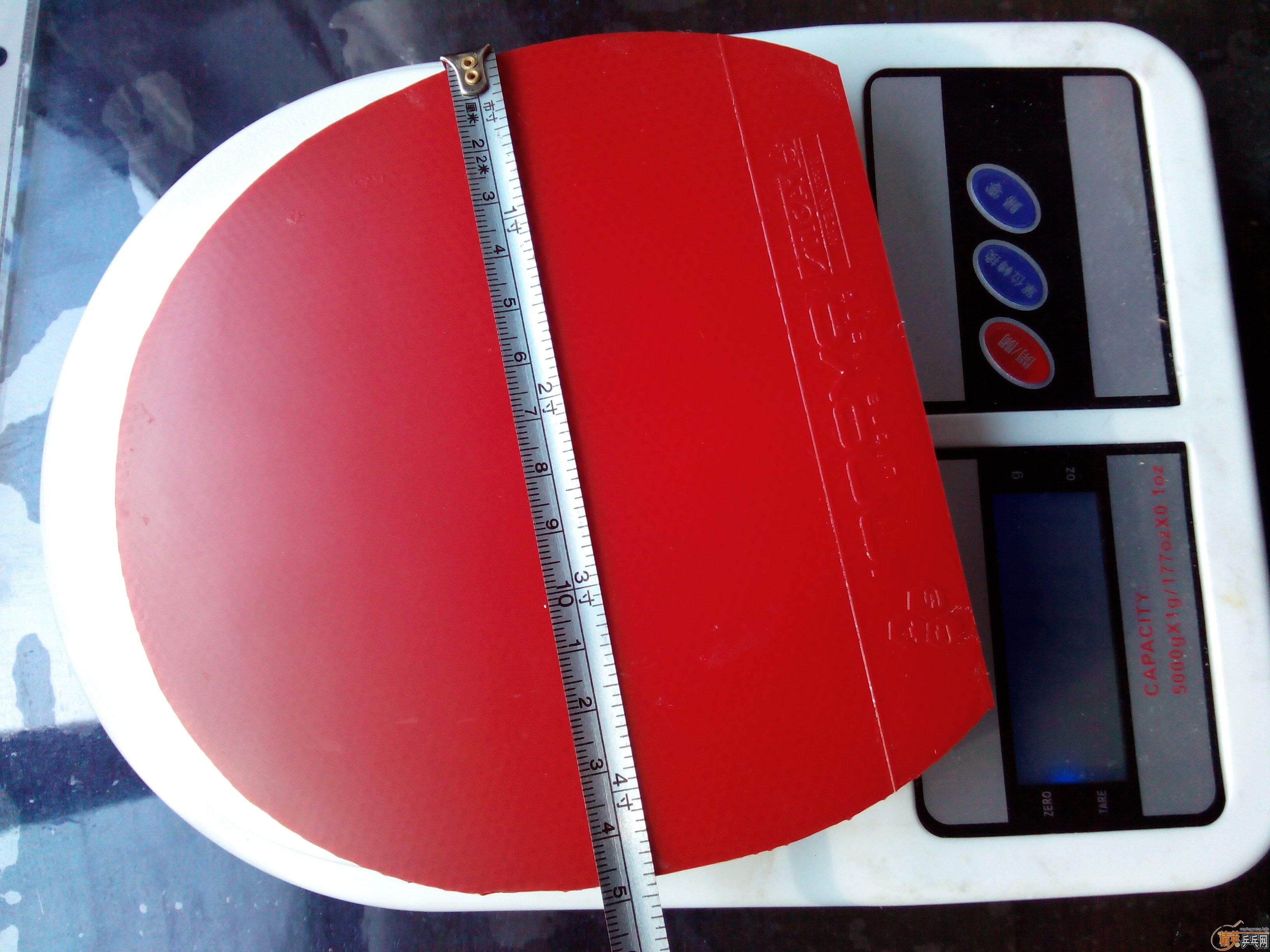 ��9.5�³���һŵ������ɫ��ֱ�壩